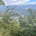 Monte Tambura 1